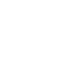 Old-Scull-NEO-Logo